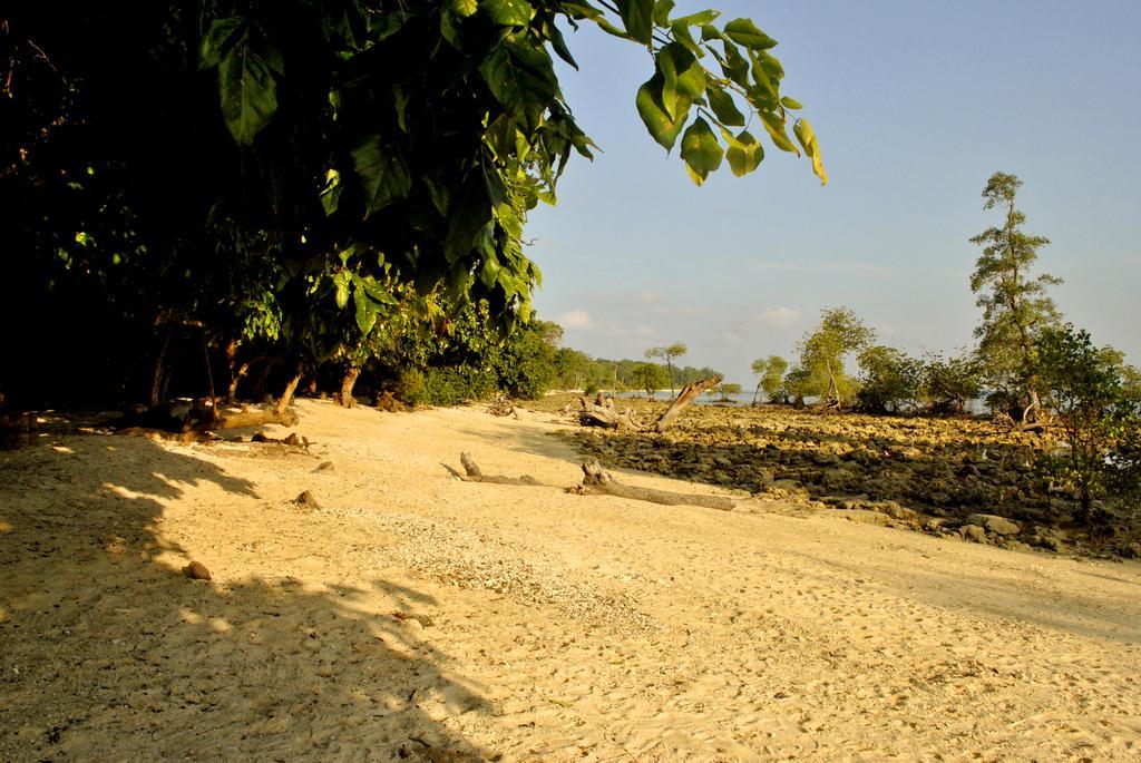 Sea Shell Neil Hotel Lakshmanpur Bagian luar foto
