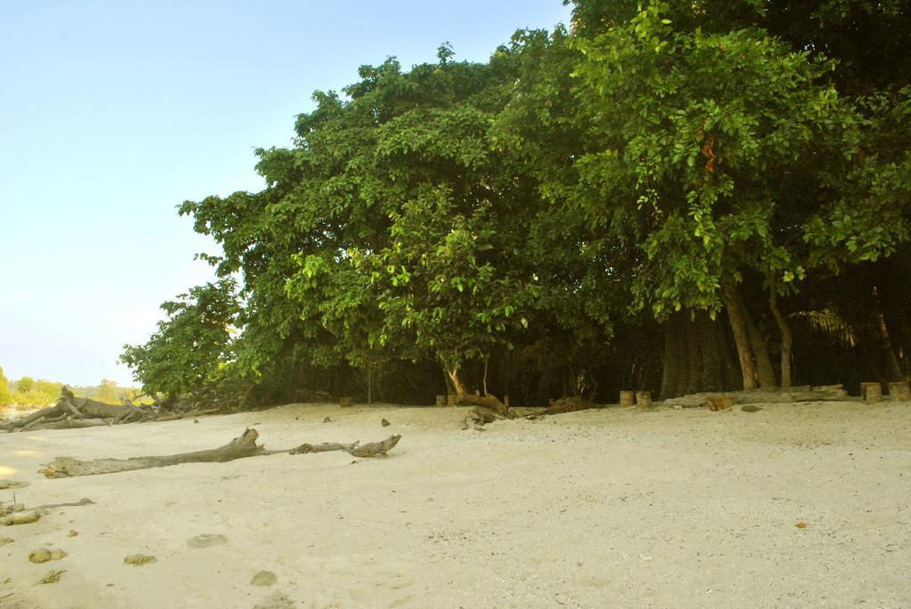 Sea Shell Neil Hotel Lakshmanpur Bagian luar foto